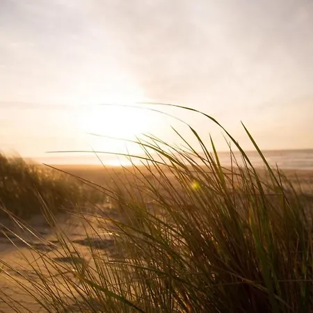 Kleine Nordseewelle Ohne Hund Ferienhaus *