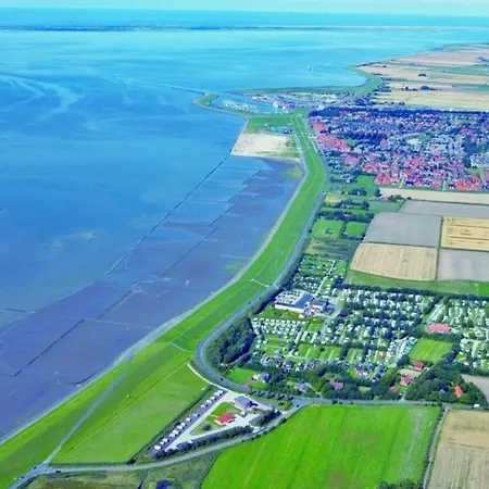 Kleine Nordseewelle Ohne Hund Norden