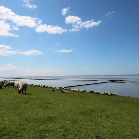 Ferienhaus Kleine Nordseewelle Ohne Hund