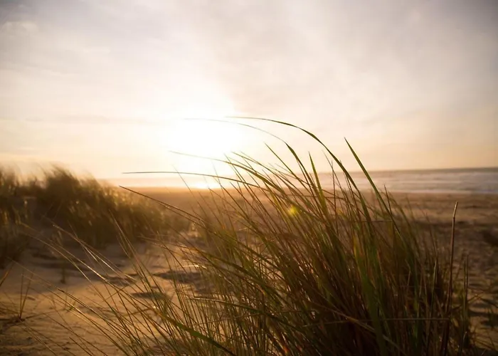 Kleine Nordseewelle Ohne Hund Casa vacanze *