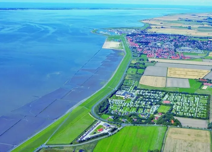 Kleine Nordseewelle Ohne Hund Norden