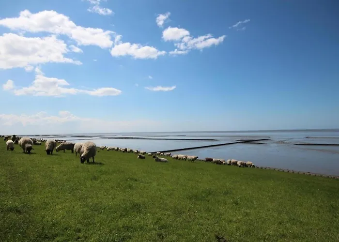Casa vacanze Kleine Nordseewelle Ohne Hund